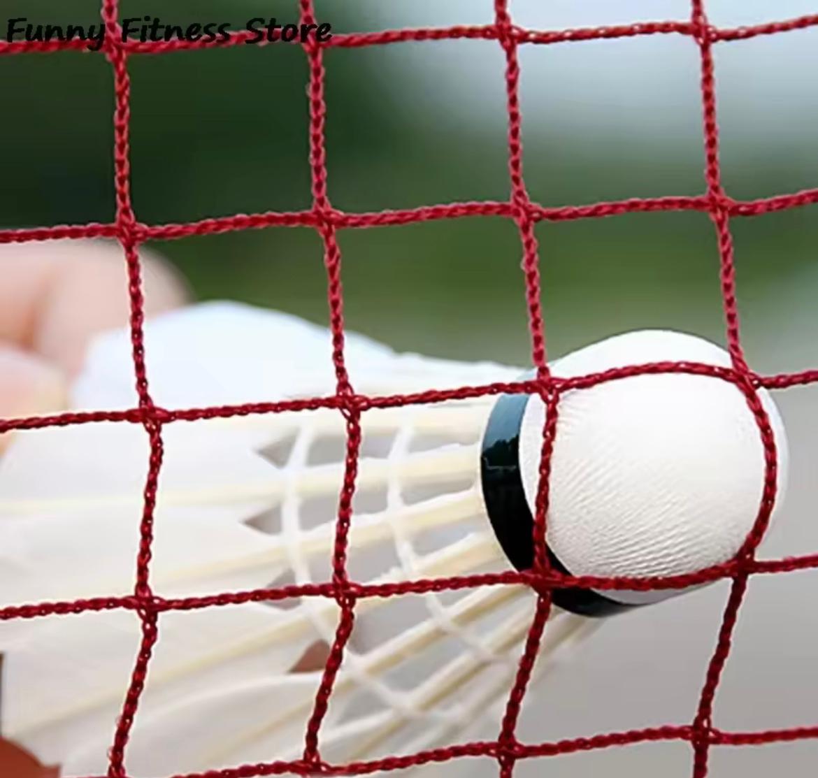 A shuttlecock hitting the net